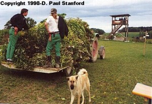 Paul Stanford trip to Switzerland 1998 - 6