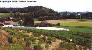 Paul Stanford trip to Switzerland 1998 - 8